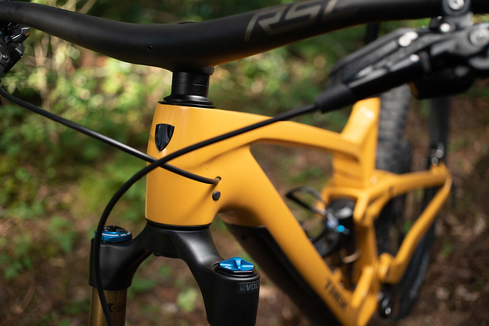 Bike Review | Trek Fuel EX 9.9 XX1 AXS | Freehub Magazine